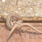 Concurso fotografía juvenil 2012