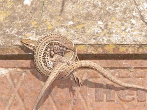 Concurso fotografía juvenil 2012