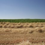 Concurso fotografía juvenil 2012