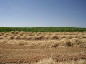 Concurso fotografía juvenil 2012