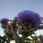 Concurso fotografía juvenil 2012