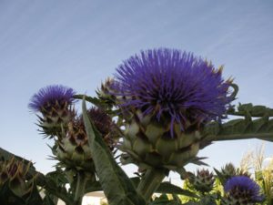 Concurso fotografía juvenil 2012