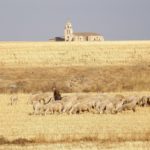 Concurso fotografía juvenil 2012