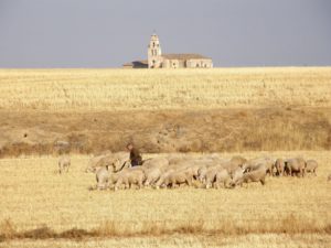 Concurso fotografía juvenil 2012