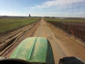 Accésit Cecilia Díez de Frutos