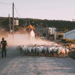 1º Miguel León García