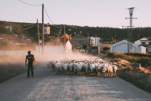 1º Miguel León García