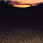 Accésit  Sara Jorquera Ortega