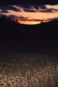 Accésit Sara Jorquera Ortega