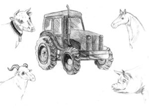 Isabel Gallego Chamorro