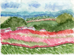 Pilar Pascual Medina