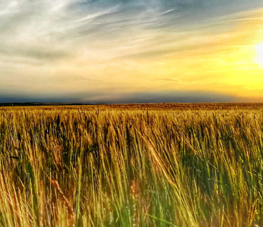 ASAJA reclama cambios en los seguros agrarios