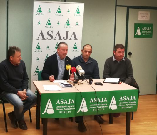 ASAJA pide que se refuercen los controles para evitar fraudes con el lechazo importado