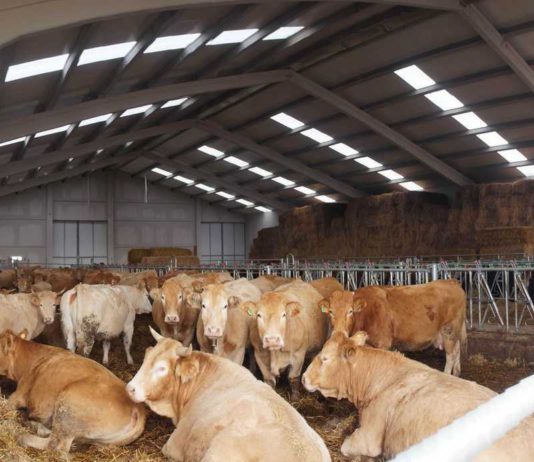 Asaja pide que no suba el IBI de las naves agrícolas y ganaderas