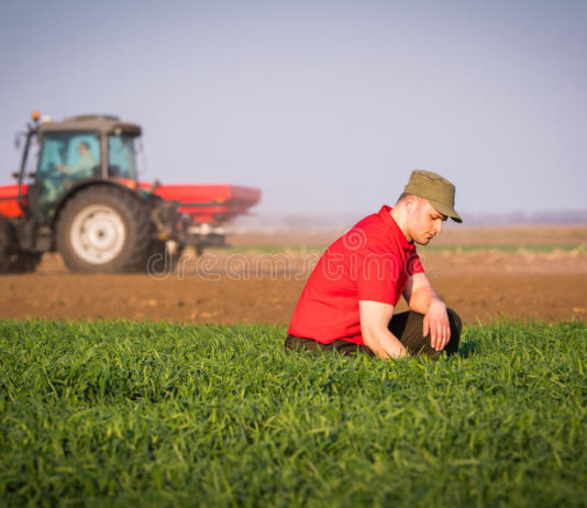 Asaja apoya la propuesta del Parlamento Europeo para favorecer el acceso de los jóvenes a la tierra