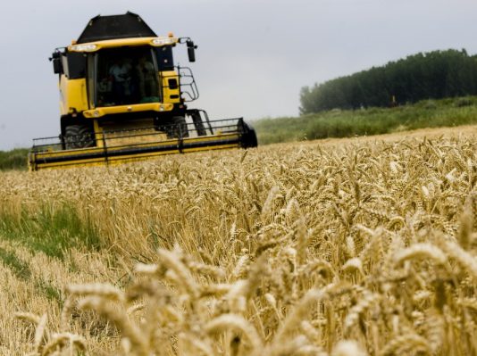 Asaja pide apoyo para que una mala comercialización no arruine una buena cosecha