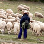 Los ganaderos de ovino de Castilla y León, de nuevo en la calle el martes 30 de octubre