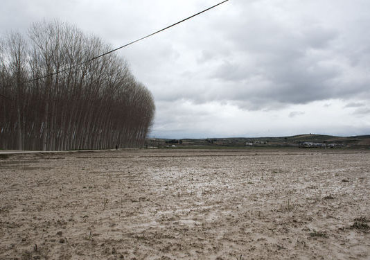El 50 % del cereal de Castilla y León sin sembrar