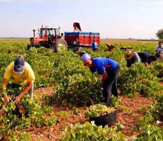 Preocupación por la subida del salario mínimo interprofesional