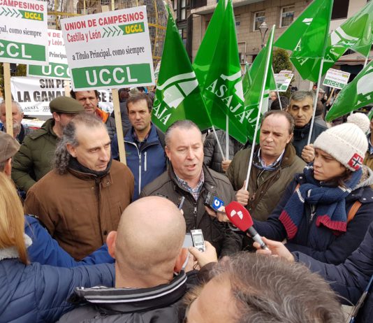 Acto reivindicativo de los ganaderos de ovino, que invitan a los ciudadanos comprar el buen queso de Castilla y León