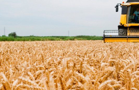 Cosecha mediocre o directamente mala