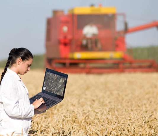 Agroseguro peritará en Castilla y León la próxima semana
