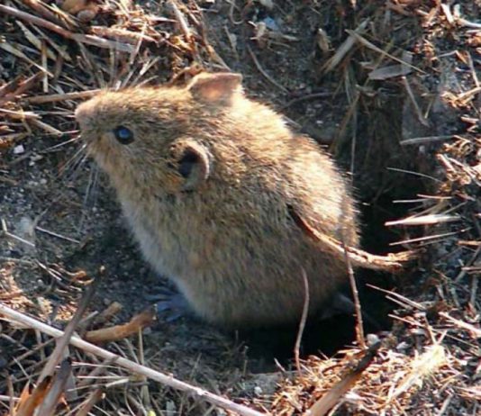 Asaja pide coordinación entre Sacyl y Seguridad Social
