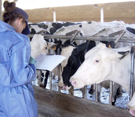 Asaja pide mejoras en el saneamiento ganadero