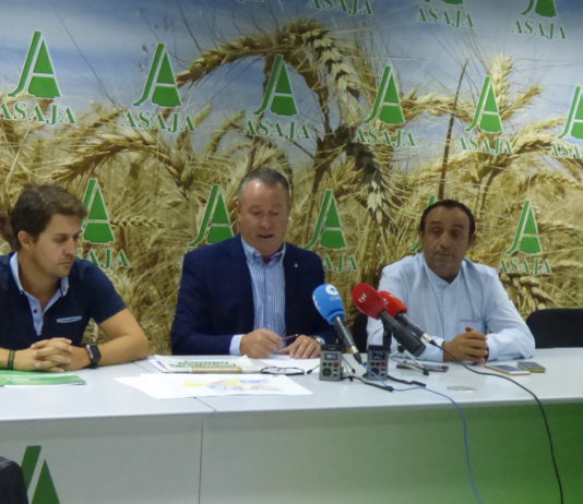 Asaja denuncia la mala gestión de la plaga de topillos