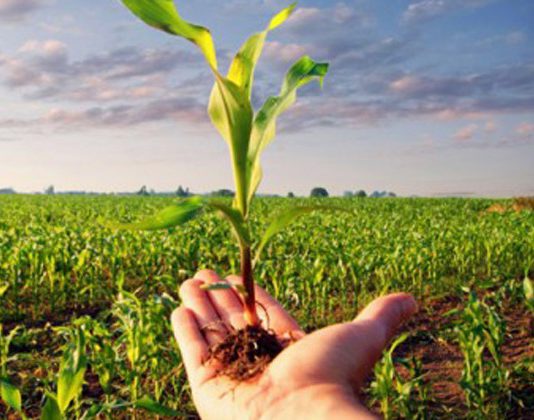 Las condiciones del seguro agrario empeoran