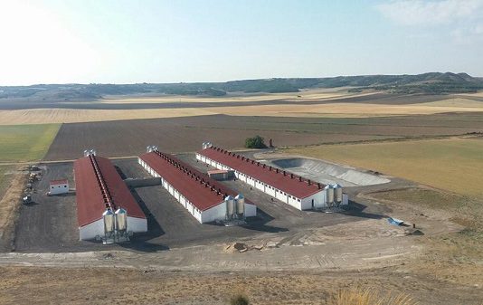 Asaja pide a la Junta que no paralice el desarrollo ganadero