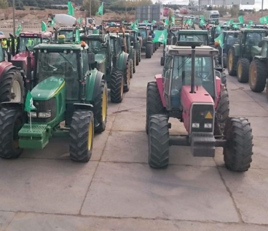 MANIFESTACION AGRARIA, 9 DE FEBRERO