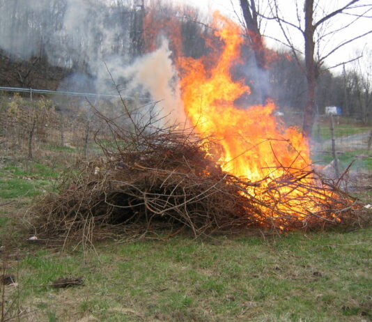 Asaja solicita que se autoricen quemas de restos de poda
