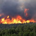 AYUDAS INCENDIO FERMOSELLE