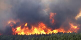 AYUDAS INCENDIO FERMOSELLE