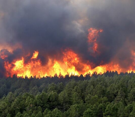 AYUDAS INCENDIO FERMOSELLE